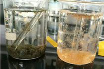 Waste Water Treatment